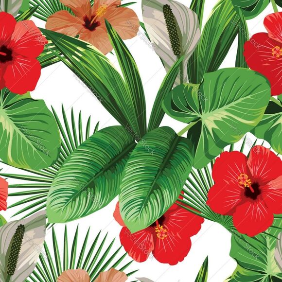 ALWAYS ACCEPTING REASONABLE OFFERS - Picture 8 of 9